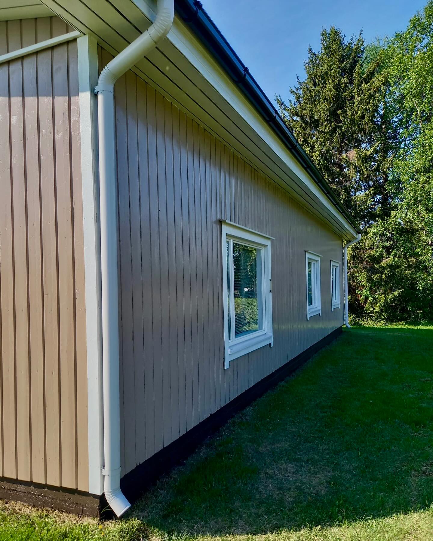 Vaaleanruskean puutalon seinä, jossa on valkoiset ikkunat ja valkoinen syöksytorvi, vihreä nurmikko ja puita taustalla, aurinkoinen sää.